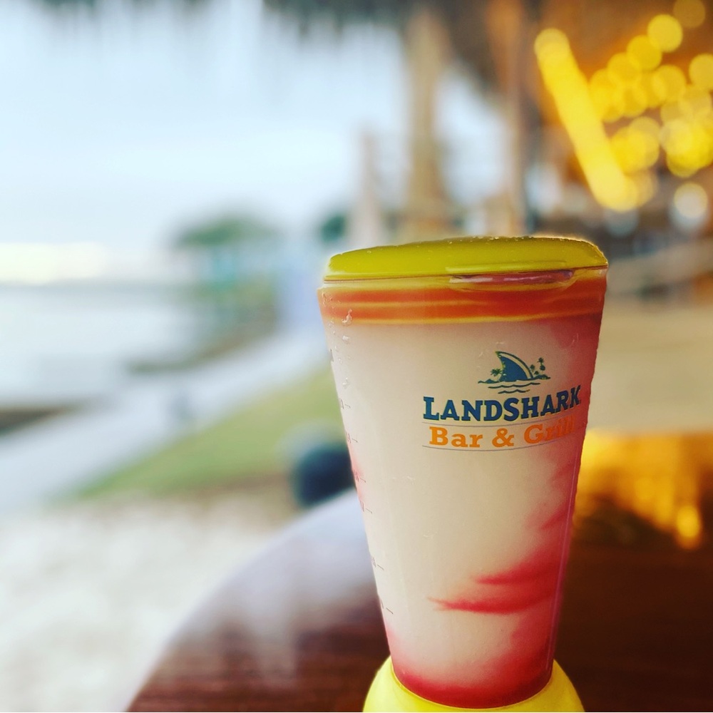 Margaritaville LandShark Specialty Drink 16oz Take-home Souvenir Blender Novelty
